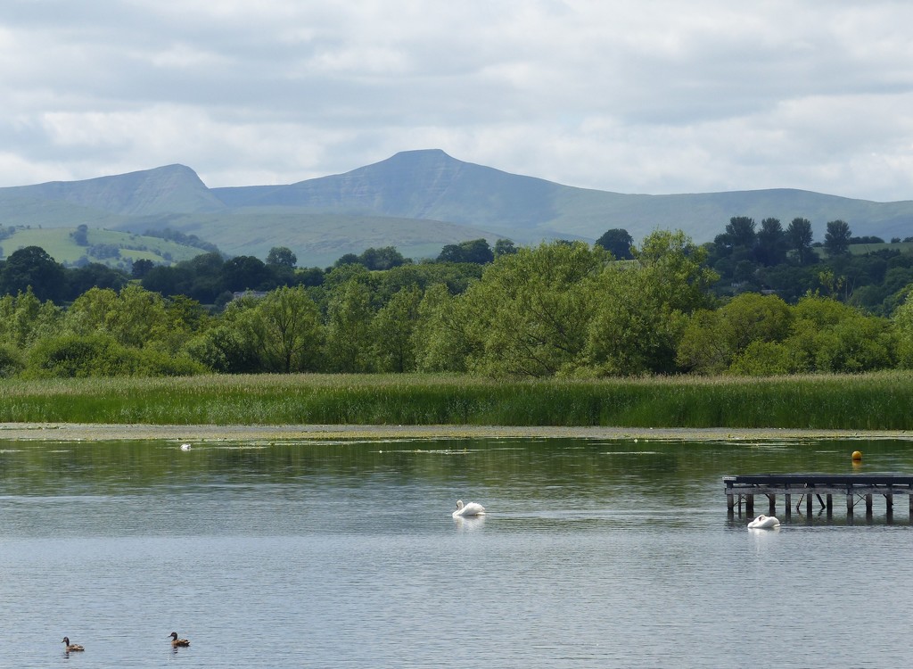  Llangorse Lake and The Brecon Beacons by susiemc