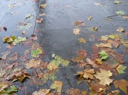 10th Nov 2010 - Water Fall...