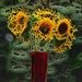 Sunflowers by dakotakid35