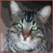 10th Jul 2015 - Painted cat in Photoshop