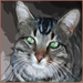 Painted cat in Photoshop by sdutoit