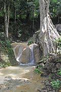 11th Jun 2015 - Rain Forest Stream, Lembah Bujang