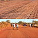 Day 16 - Tanami Track by terryliv
