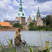 Frederiksborg Castle by lily