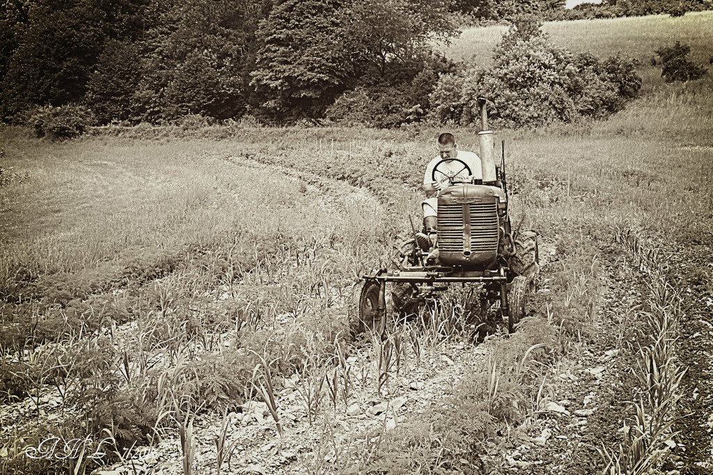 Working with the Tractor by olivetreeann