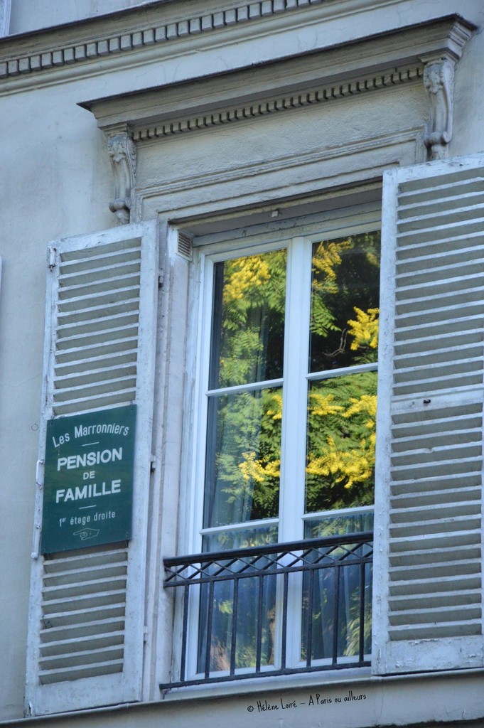 reflection by parisouailleurs