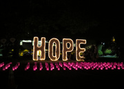10th Jul 2015 - ~Relay for Life~