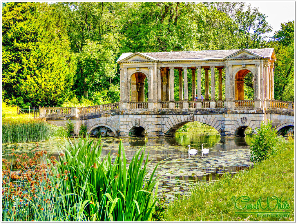 The Palladian Bridge,Stowe Gardens by carolmw
