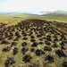 Peat Cutting by lifeat60degrees