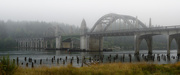 11th Jul 2015 - Bridge In Light Fog 