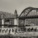 Siuslaw River Bridge In Black and White  by jgpittenger