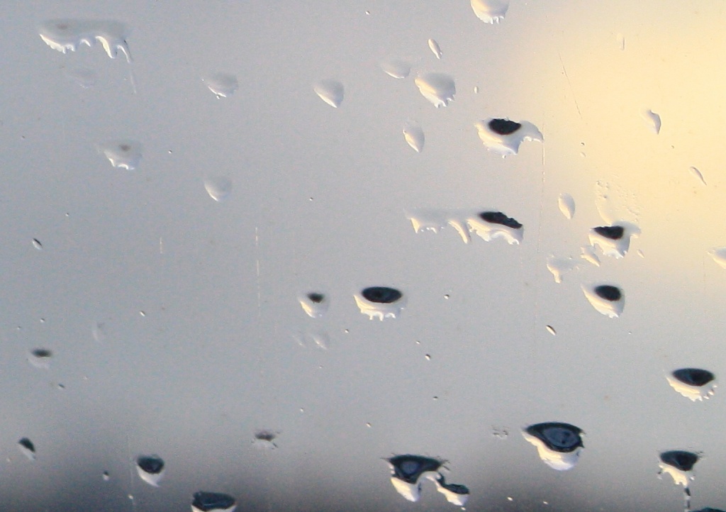 365--Raindrops on the window IMG_2223 by annelis