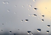 12th Nov 2010 - 365--Raindrops on the window IMG_2223