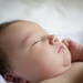 Newborn Baby by ckwiseman