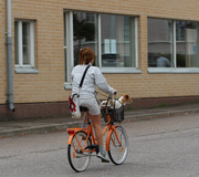 6th Jul 2015 - A travelling dog in Hanko