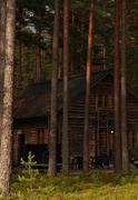 11th Jul 2015 - Cabin in the woods