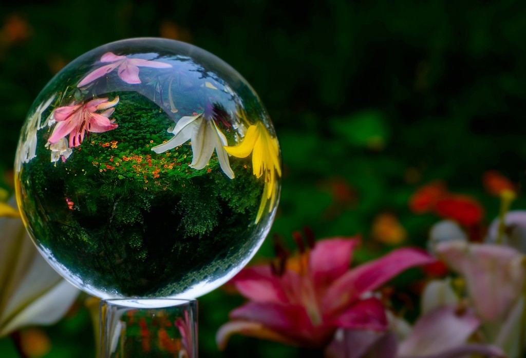 Upside Down World of Flowers by jgpittenger