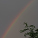 Rainbow by ctst
