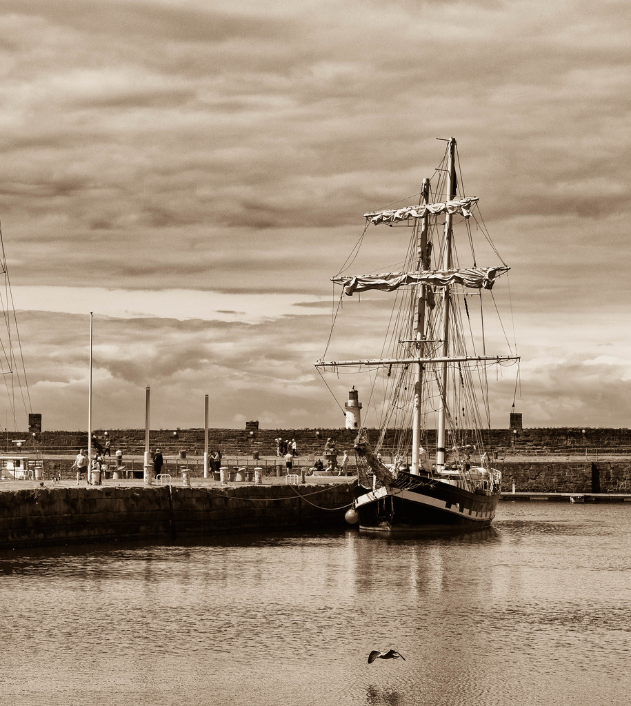 12th July 2015    - Safe Harbour by pamknowler