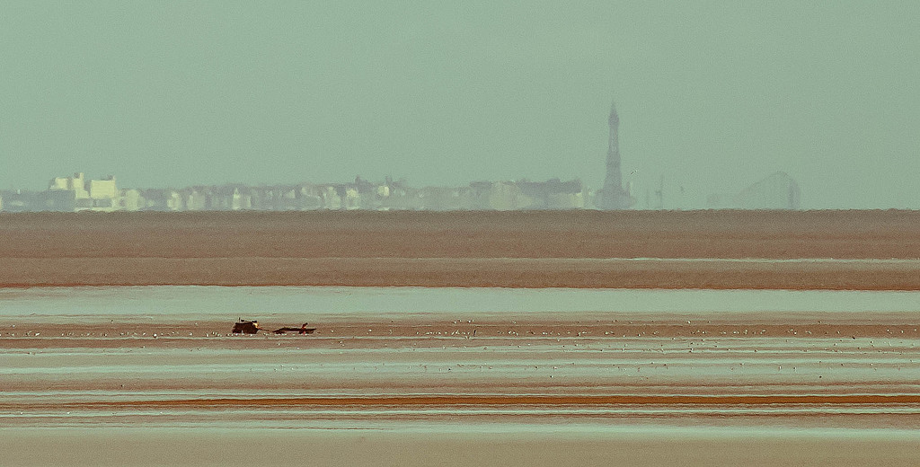 12th July 2015    - Blackpool Tower across the Bay by pamknowler