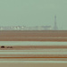 12th July 2015    - Blackpool Tower across the Bay by pamknowler
