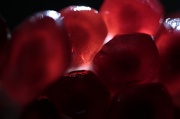 14th Nov 2010 - Pomegranate