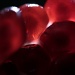 Pomegranate by robv