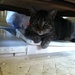 Under the table by tatra
