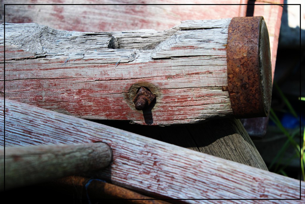 Wood and Rust by olivetreeann