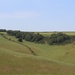 10 July 2015 The rolling hills of West Dorset at Compton Valence near Dorchester by lavenderhouse