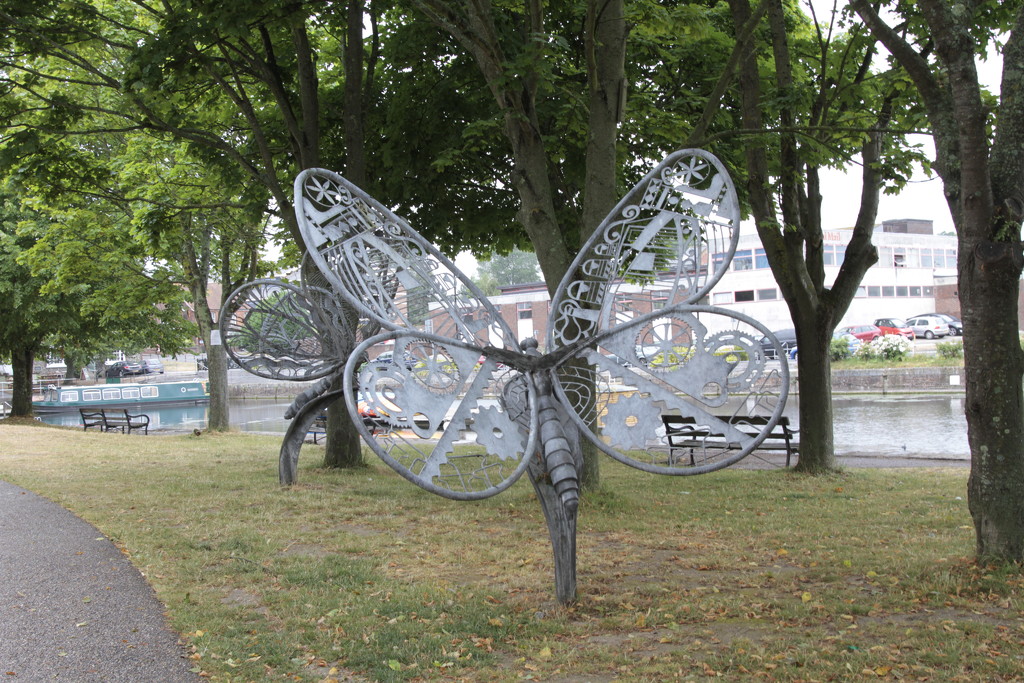 Butterfly Sculptures by davemockford