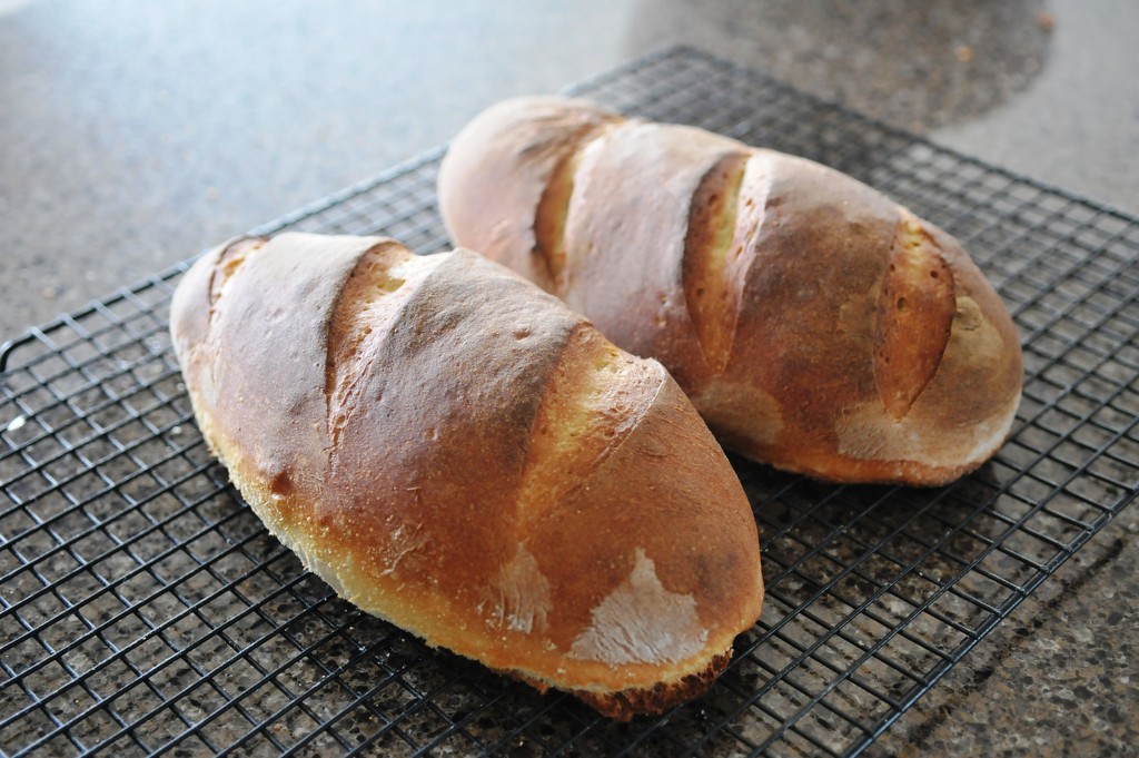 Homemade bread by kathyrose