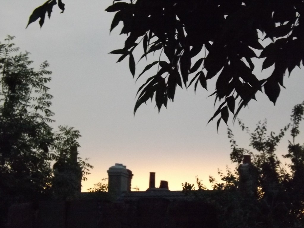 Another evening sky by plainjaneandnononsense