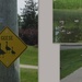 Geese caution sign by bruni