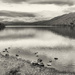 14th July 2015    - Coniston Water by pamknowler