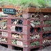 13 July 2015 Bug hotel at Moors Valley Country Park by lavenderhouse