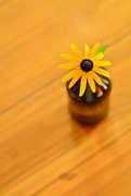 15th Jul 2015 - Brown Bottle With Blossom On Pine Table