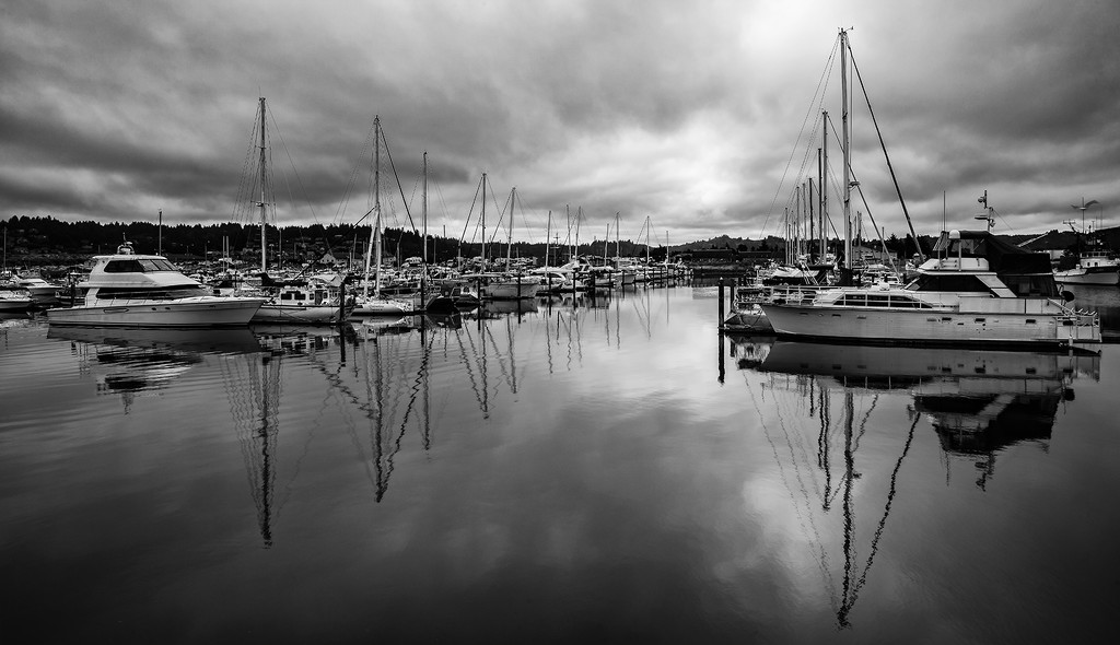 Cloudy Marina Reflections Black and White by jgpittenger