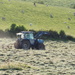 Making hay while the sun shines by philhendry