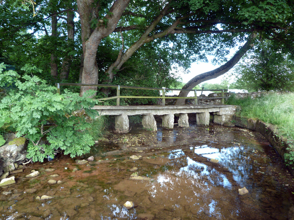 Clapper bridge by shirleybankfarm
