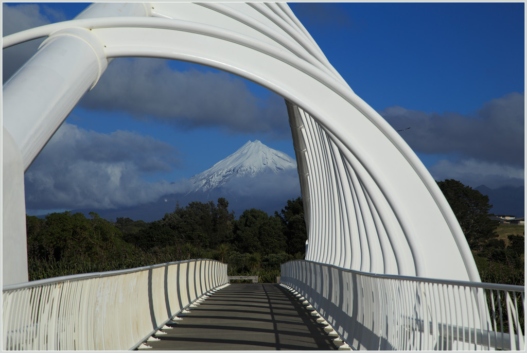 Te Rewa Rewa Bridge by dide