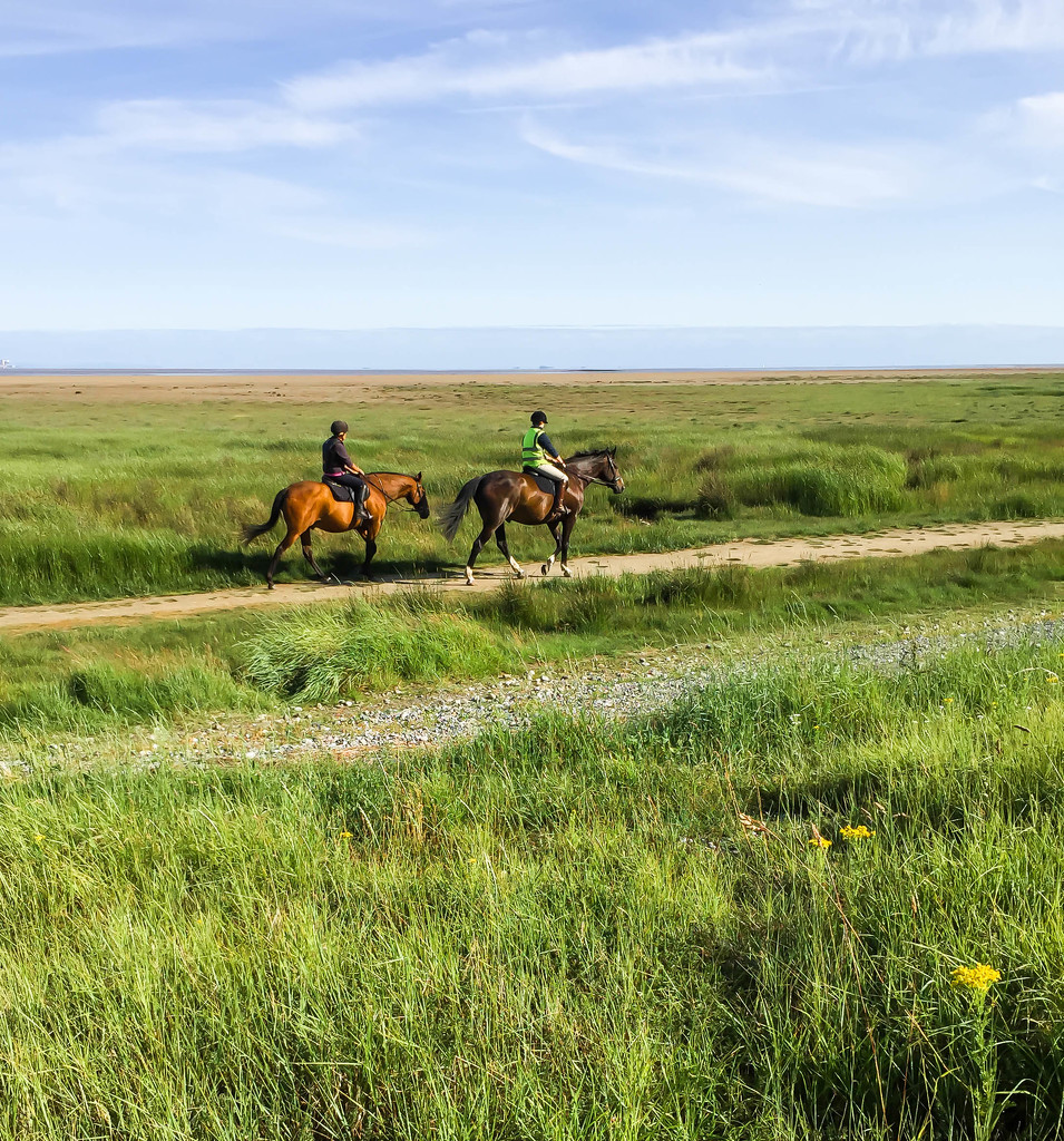 16th July 2015    - Beach ride by pamknowler