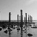 Piers at Myponga Beach by leestevo