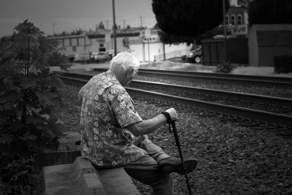 waiting for the train by nanderson