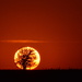 A Little Sunset Greeting from Kansas by kareenking