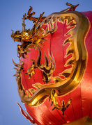 17th Jul 2015 - Chinese Dragon