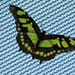 Green Butterfly by randy23