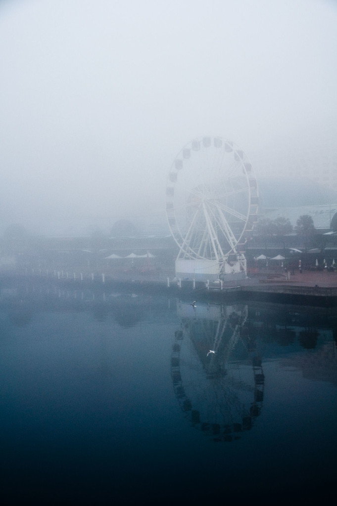 6: reflection in the fog by annied