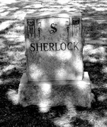 3rd Jul 2015 - Sherlock