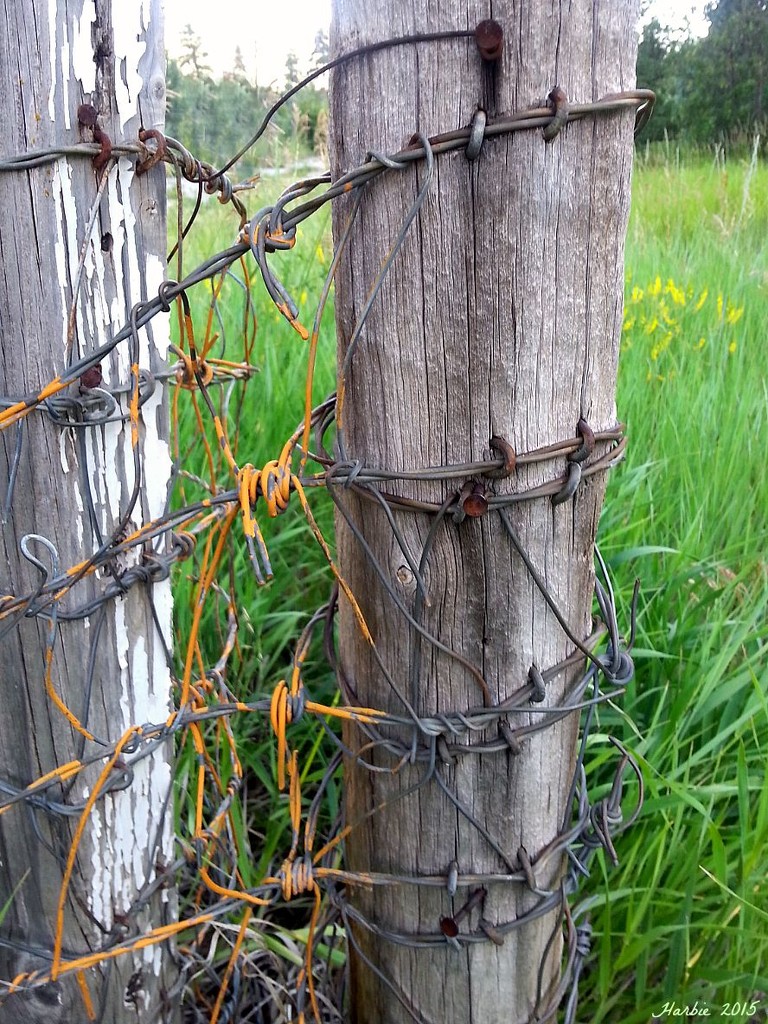 Rusty Fenceposts by harbie